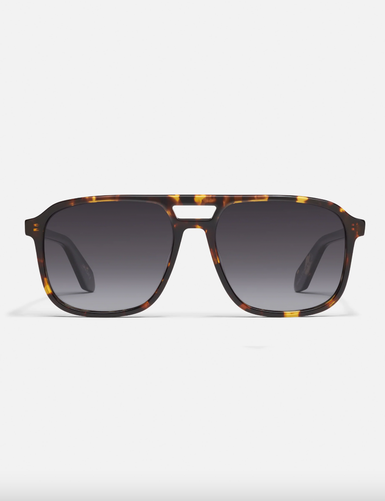 On The Fly Polarized, Tort/Smoke