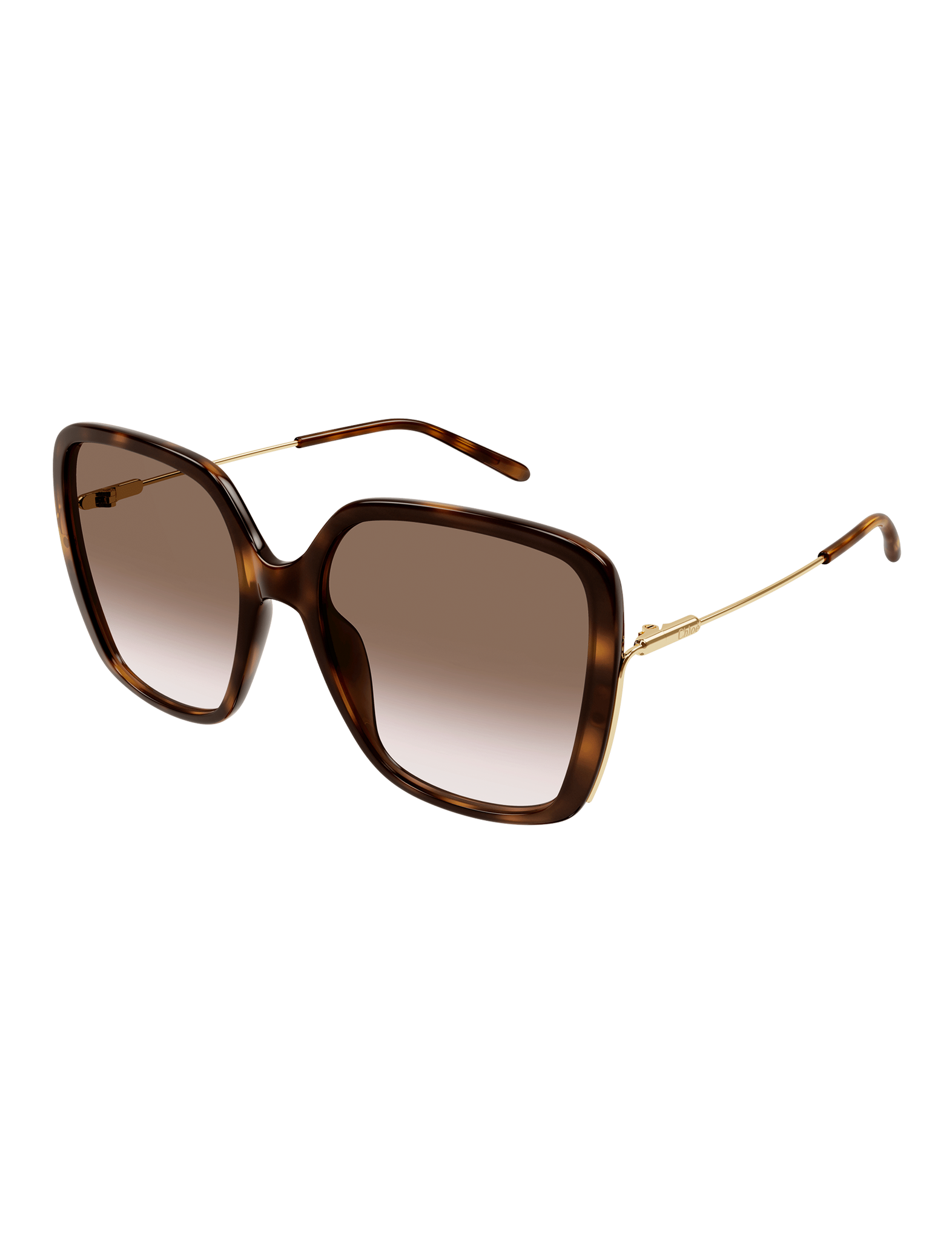 CH0173S-002 Sunglasses, Havana/Gold/Brown