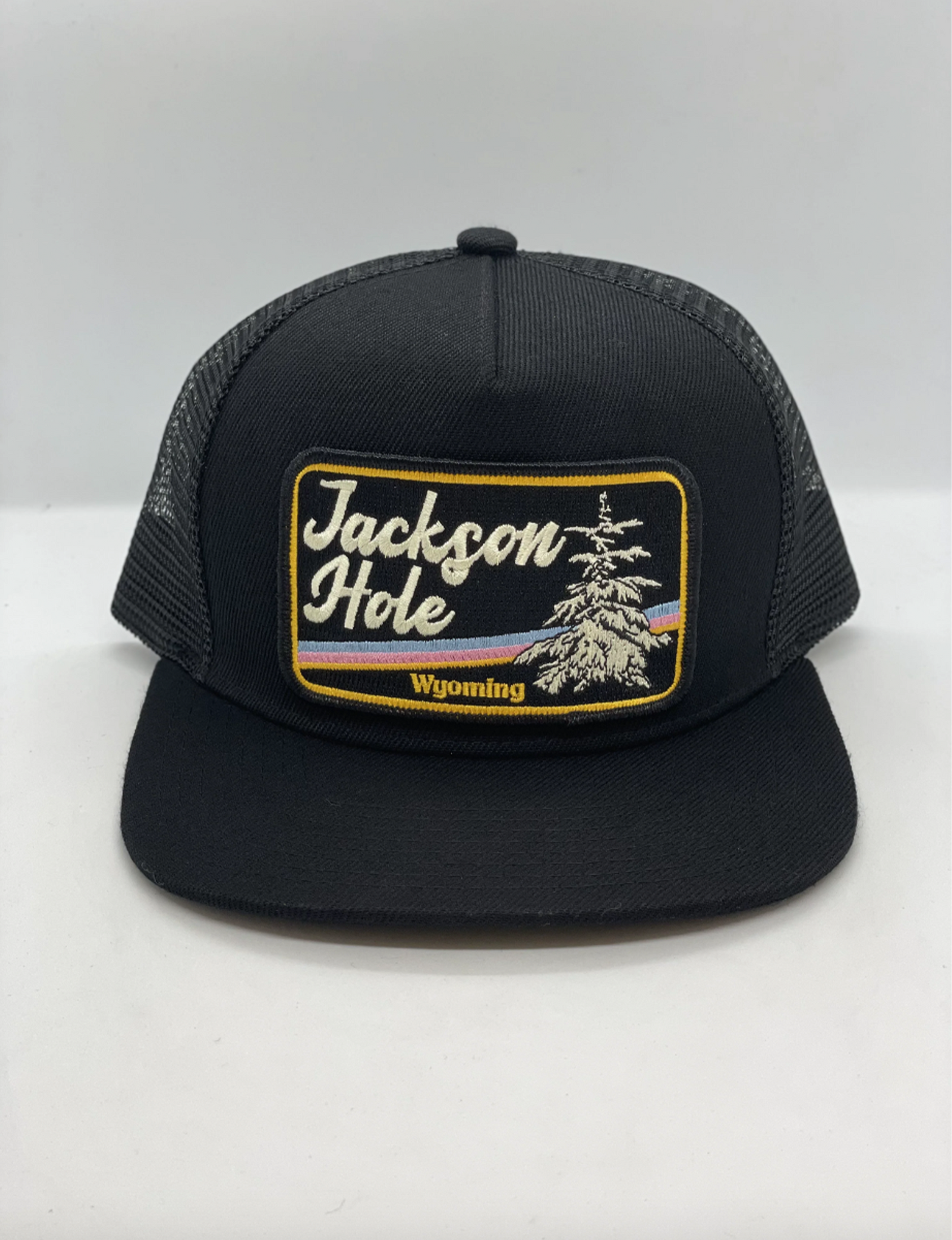 Trucker Hat, Jackson Hole (Winter)