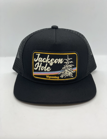 Trucker Hat, Jackson Hole (Winter)