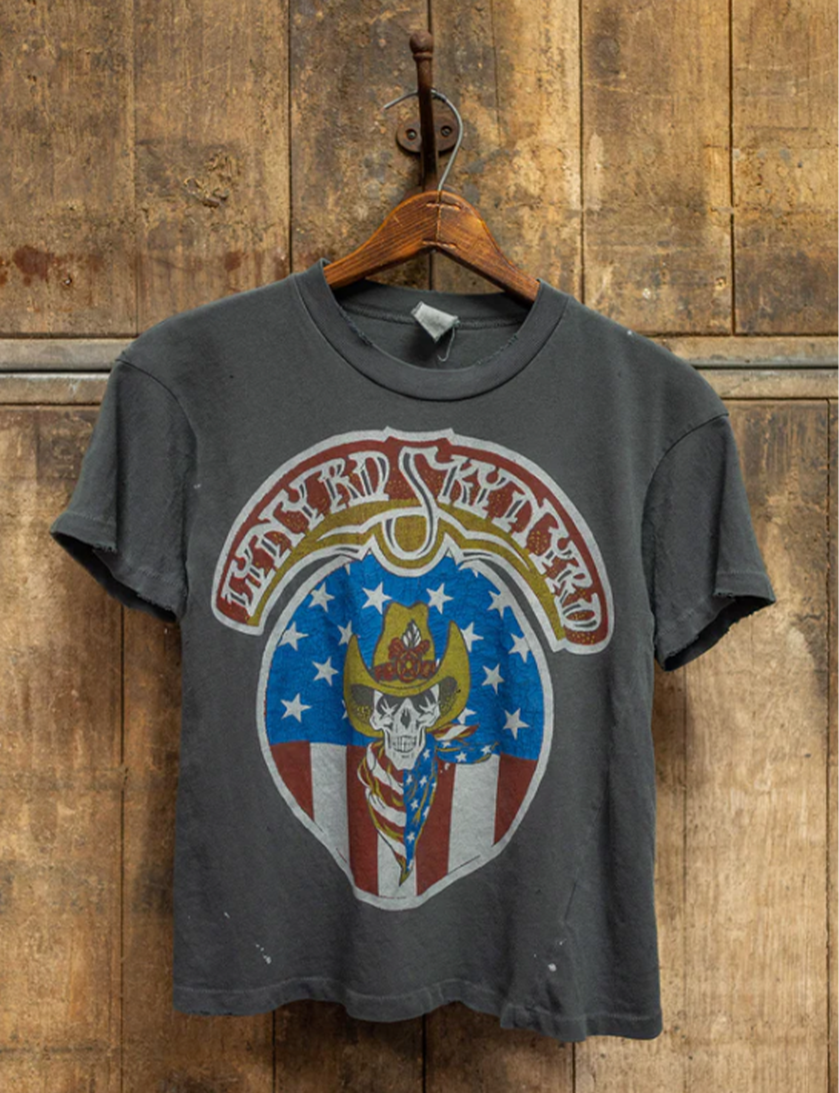 Lynyrd Skynyrd Crop Tee, Dusk