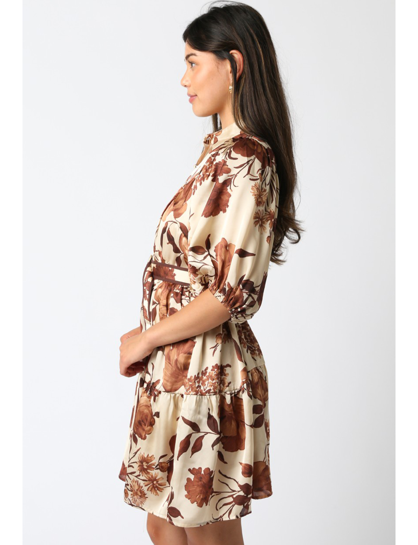 Payten Belted Dress, Coffee/Cream/Brown