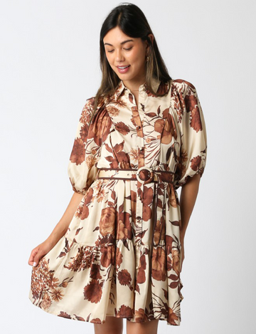 Payten Belted Dress, Coffee/Cream/Brown