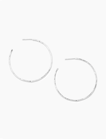 Taner Hoops, Silver
